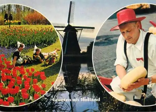 Greetings from Holand Netherlands windmill cheese market tulip