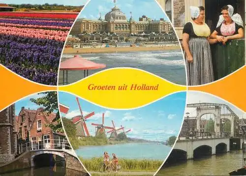 Greetings from Holand Netherlands windmills beach flower bed dam