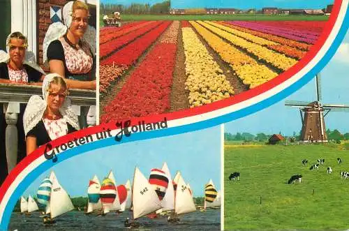 Greetings from Holand Netherlands windmill sailing vessel tulip bed