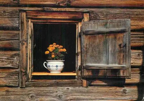Carnations vase floral arrangement in the wooden cottage window detail view