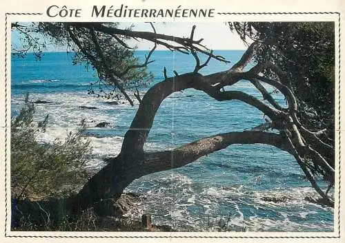 France Cavalaire (Vaucluse) Calanques et pinedes