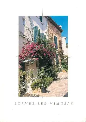 France Bormes-les-Mimosas (Var)