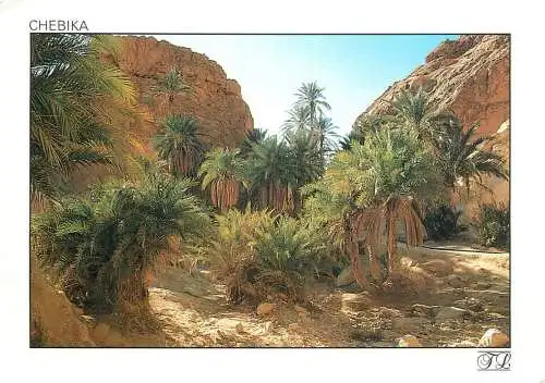 Tunisia Chebika un coin de Paradis