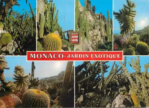 Monaco Monte-Carlo exotic garden