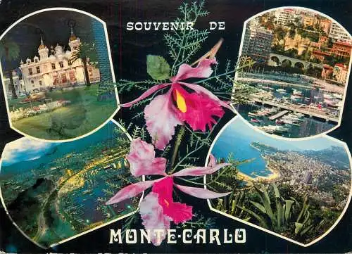 Monaco Monte-Carlo harbour