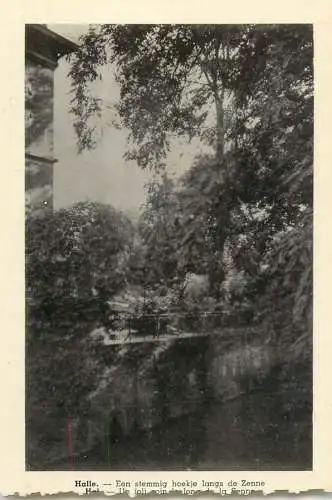 Halle