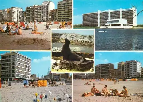 Belgium Knokke Heist