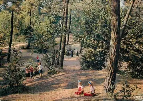 Belgium Knokke Zoute the fir wood
