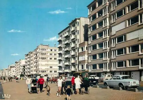 Belgium Knokke Albert Plage