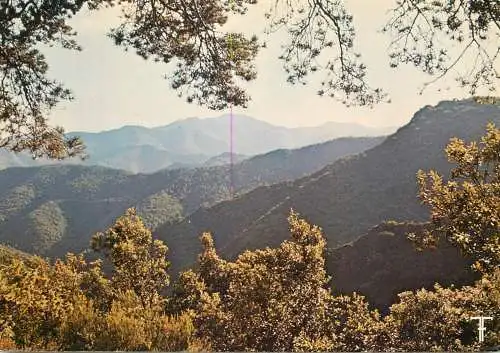 France Cevennes La Corniche - pres du Col de l'Exil