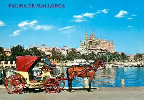 Spain Palma de Mallorca La Lonja y Catedral