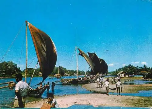 Sri Lanka Ceylon fishermen arriving in port