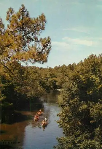 France Paysage des Landes