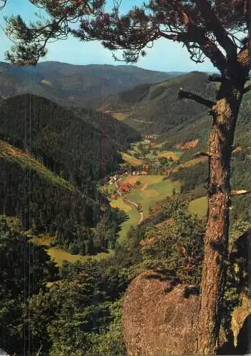Germany Schwarzwald Apfelsen ins Reichenbachtal