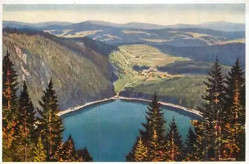 Germany Schwarzwald Feldsee