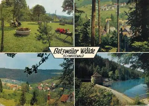 Germany Schwarzwald Betzweiler Walde