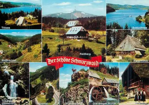Germany Schwarzwald landscapes