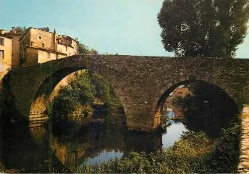 France Les Cevennes touristiques Le Vigan vieux pont
