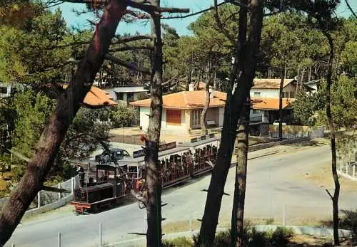 France Cap Ferret (Gironde) Le Petit Train