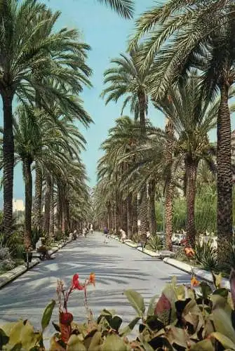 Spain Palma de Mallorca Paseo Sagrera
