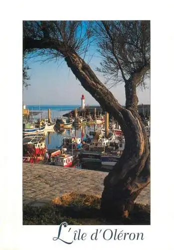 France Ile d'Oleron harbour view