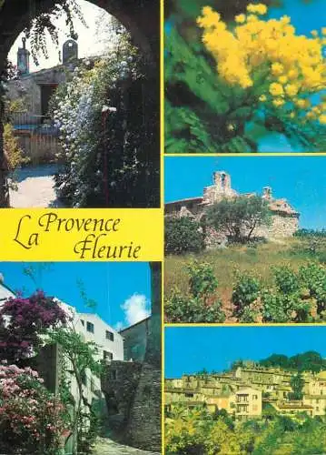 France La Provence Fleurie multi view