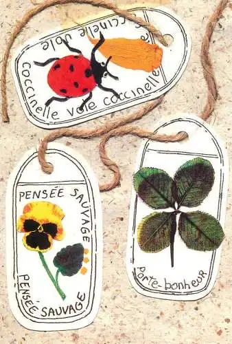 Ladybug, lucky charm and flower art collage
