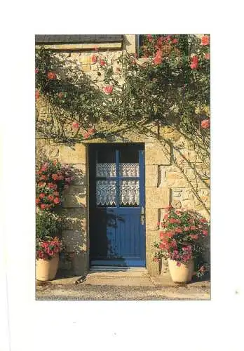 France blue door surrounded by flowers detail aspect place to identify