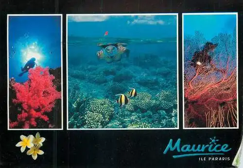 Mauritius Ile paysages sous-marines multi view