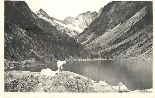 Postcard France Cauterets le lac de Gaube