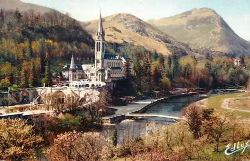 Postcard France Lourdes basilique