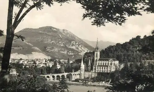 Postcard France Lourdes basilique
