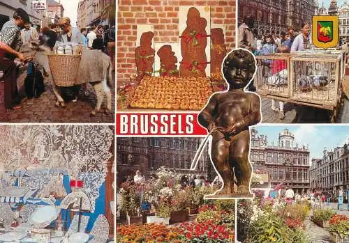 Bruxelles multi views postcard