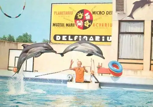 Romania Constanta Delfinariul - spectacol cu delfini