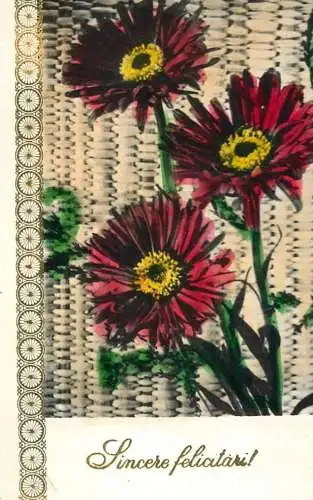 Chrysanthemum flower bouquet heartfelt greetings
