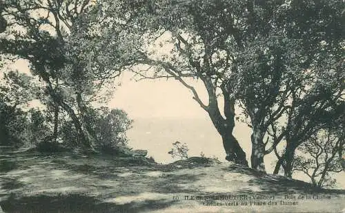 Postcard France Noirmoutier bois de la chaise