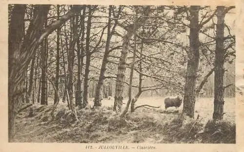 Postcard France Jullouville Clairiere