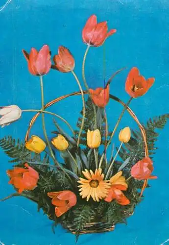 Tulips colourful floral basket arrangement