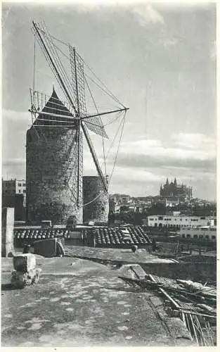 Spain Palma vista de los molinos