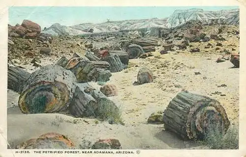 USA Petrified Forest near Adamana AZ