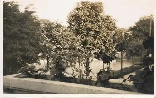 Real photo postcard place to identify flower bed