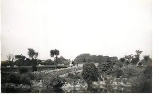 Real photo postcard place to identify river banks