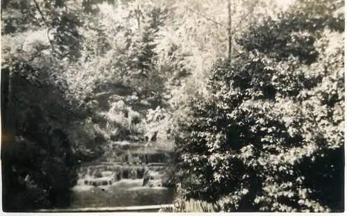 Real photo postcard place to identify waterfall forest