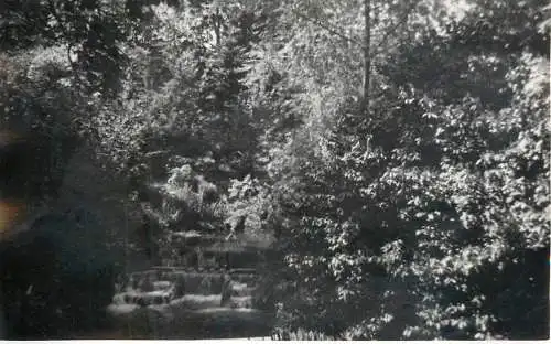Real photo postcard place to identify waterfall forest