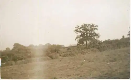 Real photo postcard place to identify landscape