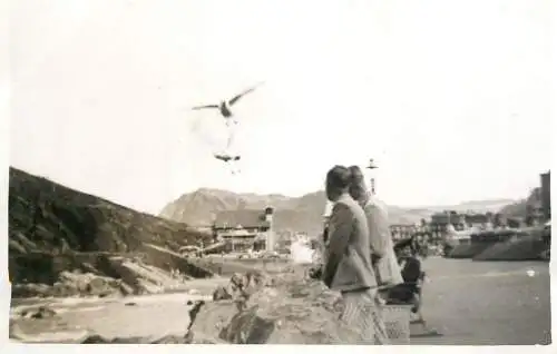 Real photo postcard place to identify seagull and river