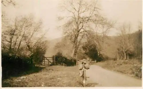 Real photo postcard place to identify road forest