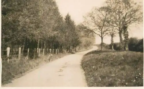 Real photo postcard place to identify road forest