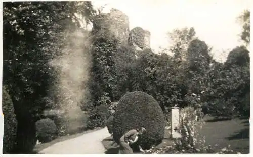 Real photo postcard place to identify park