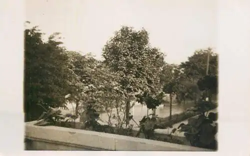 Real photo postcard place to identify park
